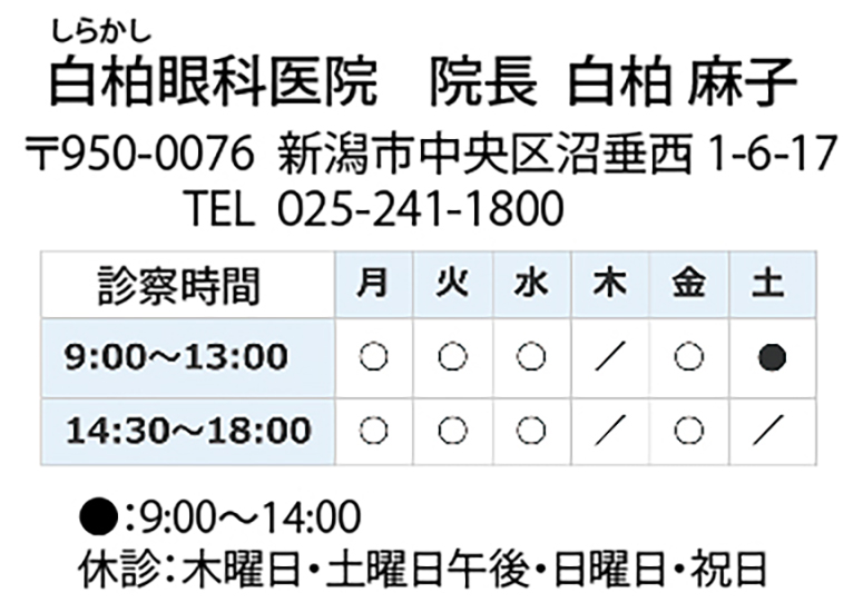 画像の説明